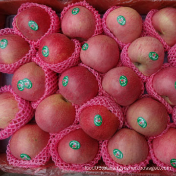 Fornecedor regular de maçã vermelha de Qinguan